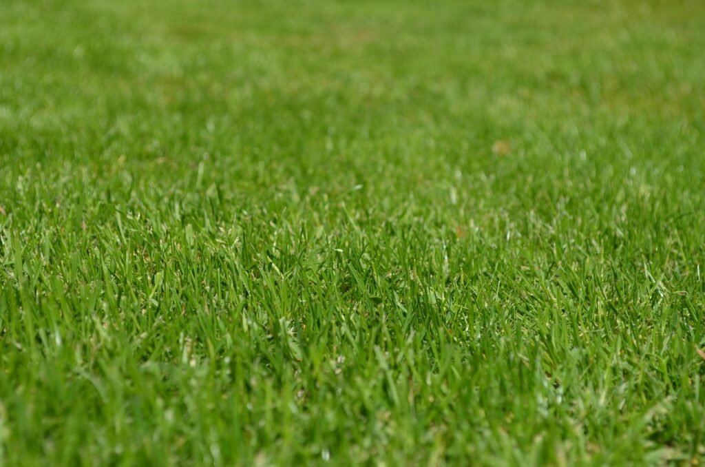 quanto cobra landscaper Los Angeles 2025 - forteforte.com.br